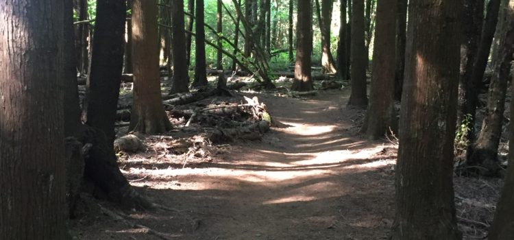 The art of following The art of following